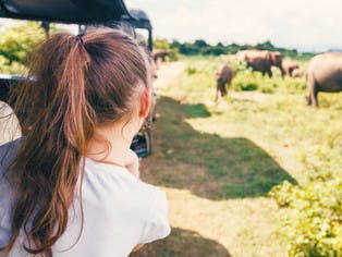 Top 10 Travel Destinations For Families